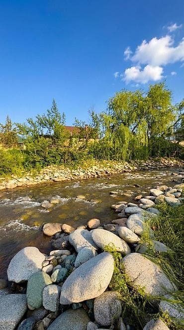 5 соток, Для строительства, Красная книга