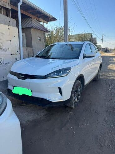 Weltmeister EX5, 2020 г.