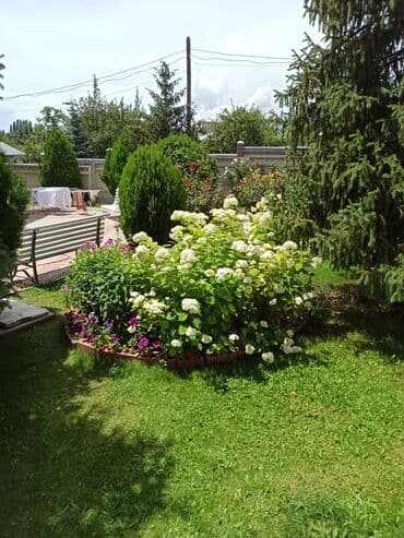 сдаю дом турбаза: Үй, 22 кв. м, 10 бөлмө, Менчик ээси — 6