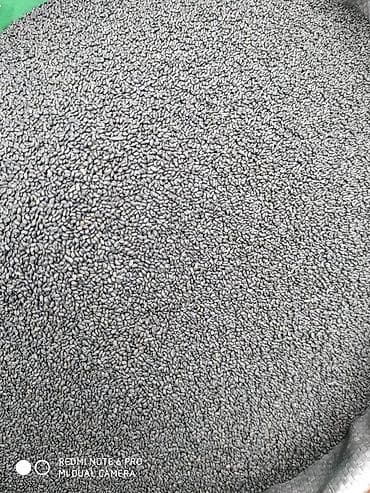 Уголь: Семена кормовых растений: Люцерна, Самовывоз — 4