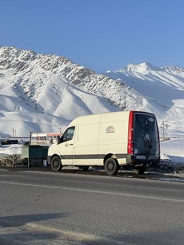 w220 s500: Легкий грузовик, Volkswagen — 2