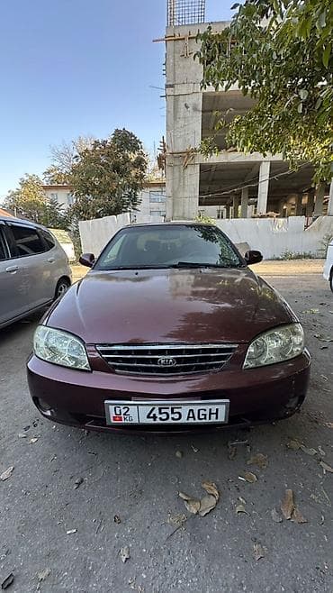 Kia Spectra: 2008 г., 1.6 л, Механика, Бензин, Седан