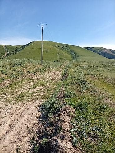 кок талаа: 5 соток, Курулуш, Кызыл китеп — 5