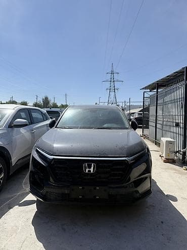 реки: Honda CR-V: 2023 г., 1.5 л, Автомат, Бензин, Кроссовер — 1