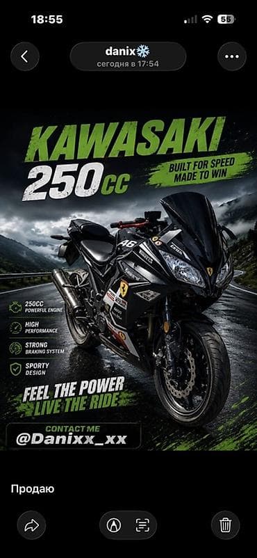 Мотоциклы: Спортбайк Kawasaki, 250 куб. см, Бензин, Взрослый — 1