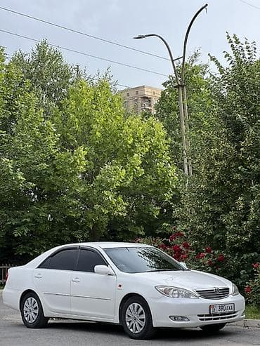 Транспорт: Toyota Camry: 2003 г., 2.4 л, Автомат, Бензин, Седан — 6