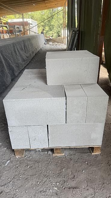 обработка тараканов: Газоблок, Неавтоклавный, 600x200x300, D700 — 5