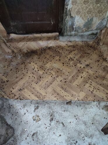 ваты: Дезинфекция, дезинсекция, | Клопы, Тараканы, Блохи, | Кафе, магазины, Дома, Квартиры — 7