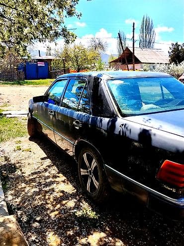 Mercedes-Benz W124: 1992 г., 2.3 л, Кол менен иштөөчү, Бензин, Седан