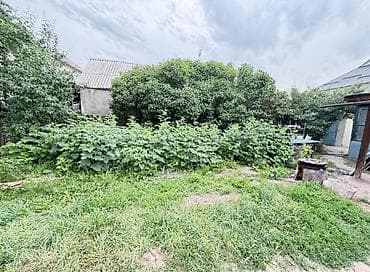 variant kg: 🏡 Срочно продаётся дом в Бишкеке, ж/м Ак-Орго! 📍 3 комнаты 📐 50 м² 🌳 — 3