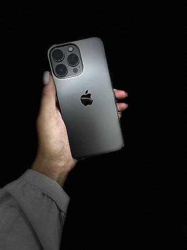 s23 mini: IPhone 13 Pro, Б/у, 256 ГБ, Natural Titanium, Чехол, 78 % — 2