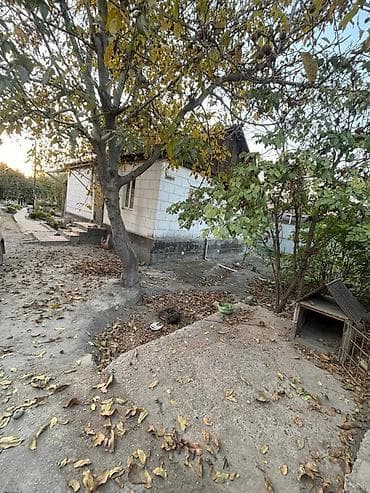 Кыймылсыз мүлк: Үй, 73 м², 3 бөлмө, Риелтор — 4