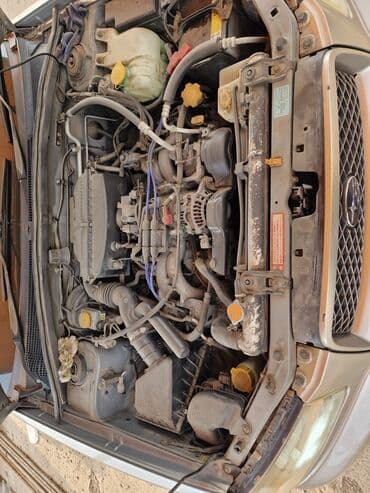 зимние шины в бишкеке: Subaru Forester: 2004 г., Автомат, Бензиновая, Кроссовер — 8