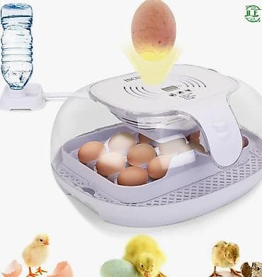 инкубационные яица: Инкубатор на 16 яиц #Инкубатор #БизнесИнкубатор — 7