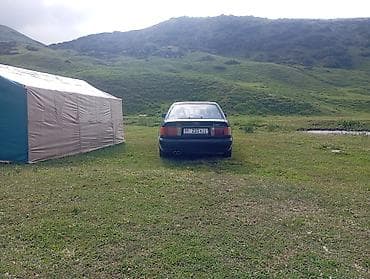 двер на ауди: Audi 100: 1991 г., 2.8 л, Механика, Газ, Седан — 4