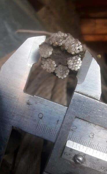 экран на компьютер: Продам тросс с крюком, тросс 6500 мм ( 6.5 метра ), от манипулятора — 3