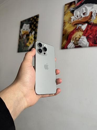 ipod touch: IPhone 15 Pro Max, Б/у, 256 ГБ, Natural Titanium, Кабель, Чехол, Зарядное устройство, 86 % — 4