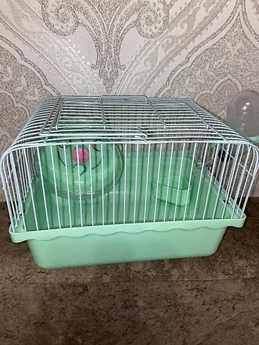 Клетка для хомяка/мелкого грызуна, комплект - Размер компактный at lalafo.kg Клетка для хомяка/мелкого грызуна, комплект - Размер компактный