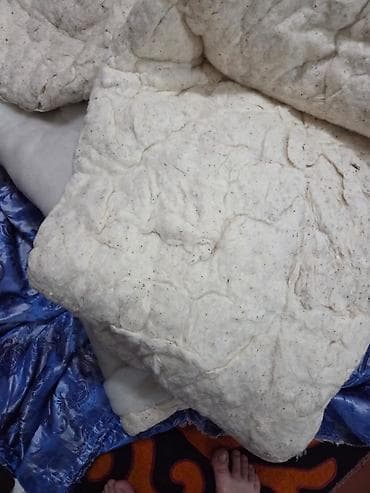 отдам даром ковры: 2 жууркандын пахтасы, бекер берем
Отдам даром вату, из двух одеял — 1