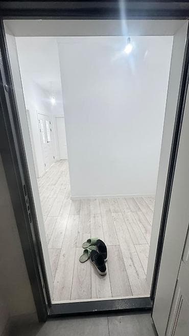 12: 2 комнаты, 55 м², Элитка, 12 этаж, Евроремонт — 8