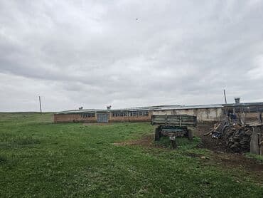 купить дом в деревне лнр недорого: Дача, 30000 кв. м, 2 бөлмө, Менчик ээси — 11