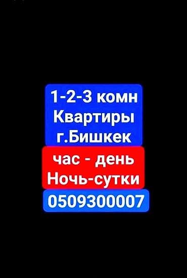 3000: 2 комнаты, Люкс, элитка, Бишкек Парк ТРЦ, Круглосуточное заселение — 1