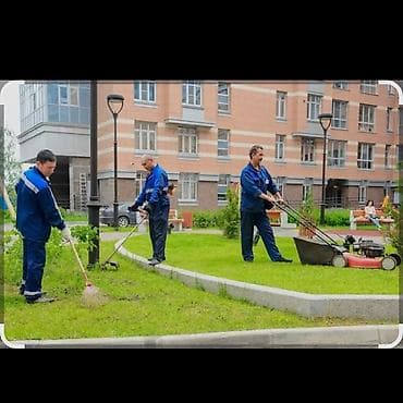 Уборка помещений: Уборка территории, Уборка двора и сада — 2