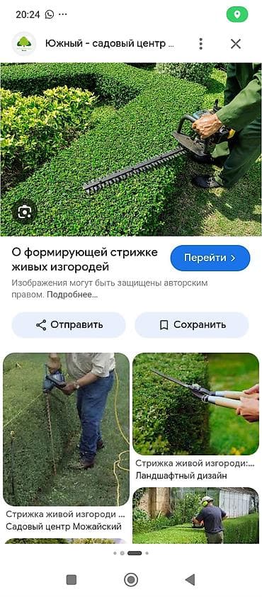 Профессиональная формирующая стрижка живых изгородей и кустарников. -