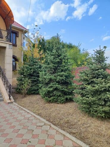 продаю особняк: 250 м², 7 комнат, Бронированные двери, Видеонаблюдение, Евроремонт — 2