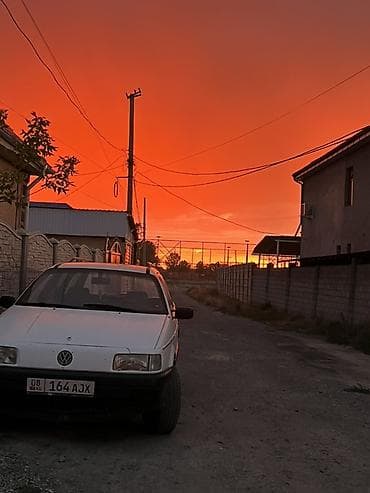 Volkswagen Passat: 1989 г., Универсал