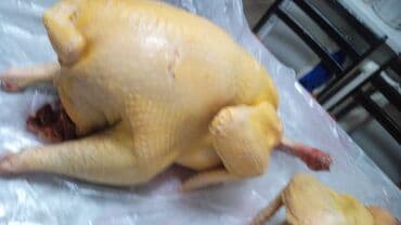 кеклик ош: Продаются индюки на мясо. Выращенные на свободе в поле. Корм составлял — 5