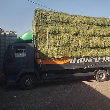 фура сена: Легкий грузовик, MAN, Стандарт — 2