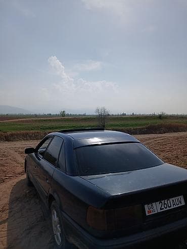 john dere: Audi 100: 1992 г., 2.3 л, Ручные, Газ, Седан — 3