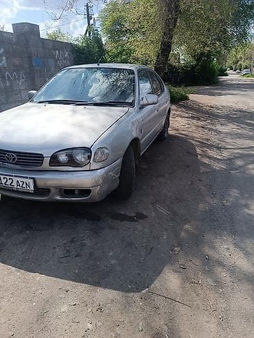 coroll: Toyota Corolla: 2001 г., 1.8 л, Автомат, Бензин, Хэтчбэк — 2