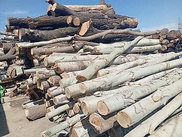 Кругляк/деловая древесина - Породы: светлая — берёза/осина (по at lalafo.kg Кругляк/деловая древесина - Породы: светлая — берёза/осина (по