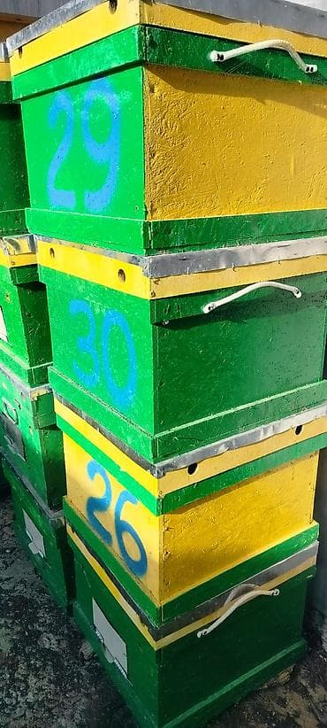 свечи пчелиный воск: Бал челек, аарылар сатылат — 7