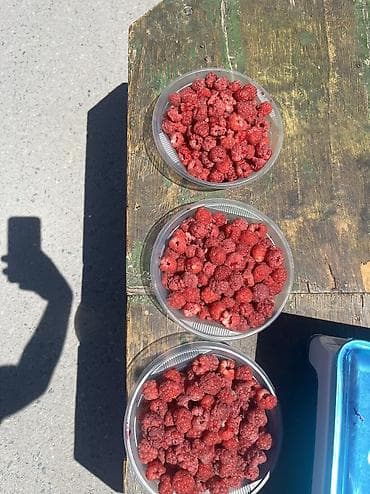 Дом и сад: Продаю малину по килограмму кг300 сом 
Доставка по Бишкеку бесплатно — 1