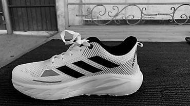 адидас терекс: Мужские кроссовки, 43, Adidas, Новый, цвет - Белый, Бесплатная доставка — 1