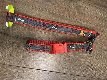 шиншил: Комплекты ошейник + поводок для средних и крупных собак. Фирменный — 3