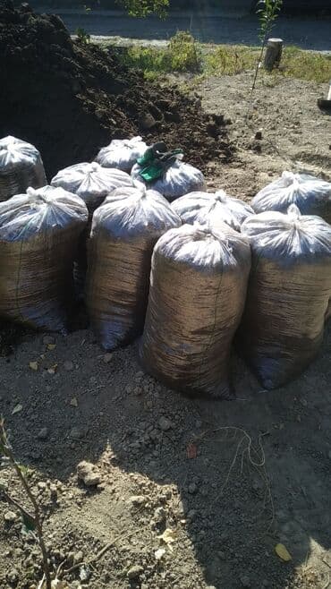 заказать уголь: Заказать Самосвал, Доставка щебня, угля, песка, чернозема, отсев — 2