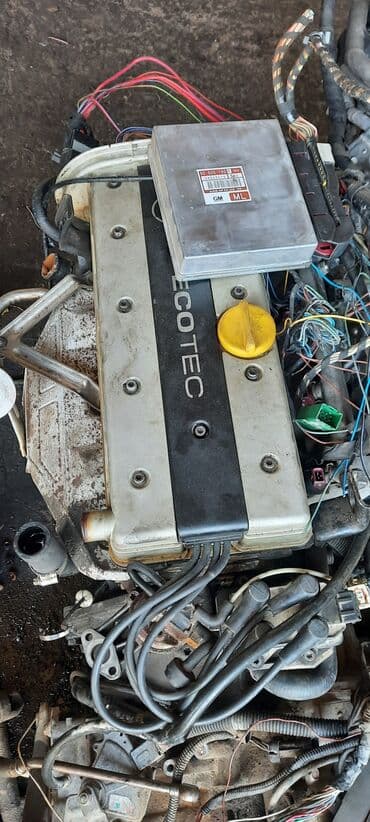 контрактные двигатели опель фронтера: Моторы контрактные на Opel твин порт обьем 1.4 ; 1.6;1.8 моторы экотек — 16