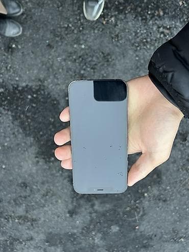mi camera: IPhone 12 Pro, Б/у, Pacific Blue, 77 % — 4