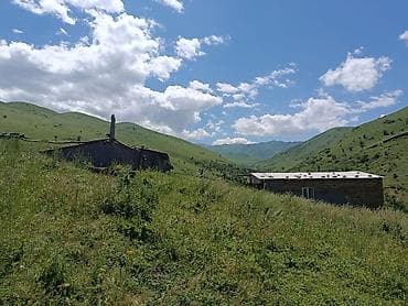 модульные контейнеры: Продам кашару в алмалуу цена договорная звонить по номеру - — 6