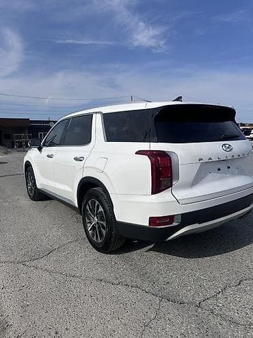 железные пороги: Hyundai Palisade: 2020 г., 2.2 л, Автомат, Дизель, Кроссовер — 7