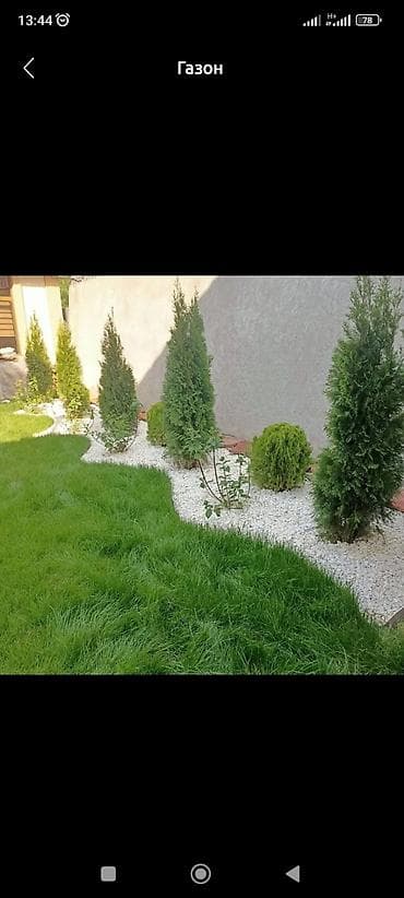 Покос газона, уход за Розами