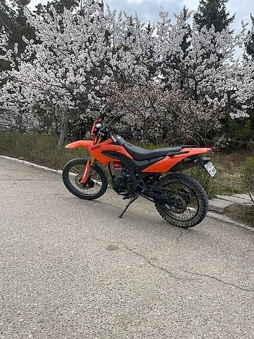 бмс плата: Эндуро Минск, 300 куб. см, Бензин, Взрослый — 2