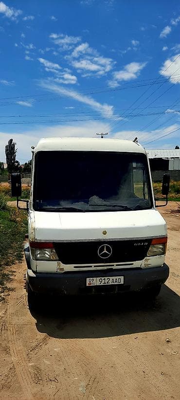 Mercedes-Benz Vario: 2001 г., 4.3 л, Механика, Дизель, Бус