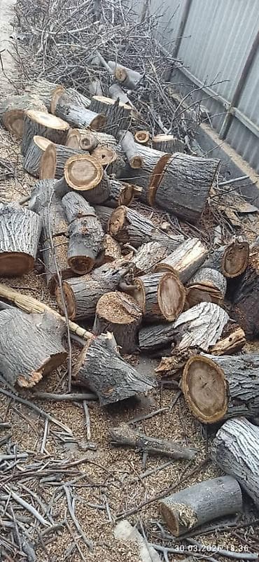 на дрова: Дрова — 2