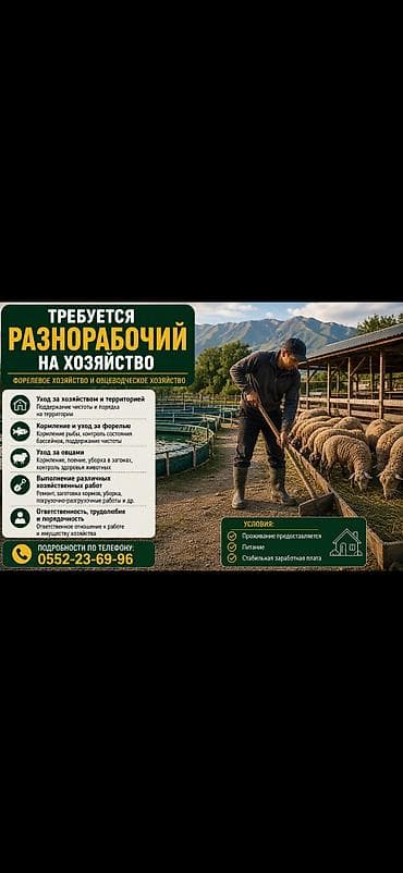 Вакансиялар: Требуется разнорабочий на хозяйство. Зарплата 30-40 тысяч сом Село — 1