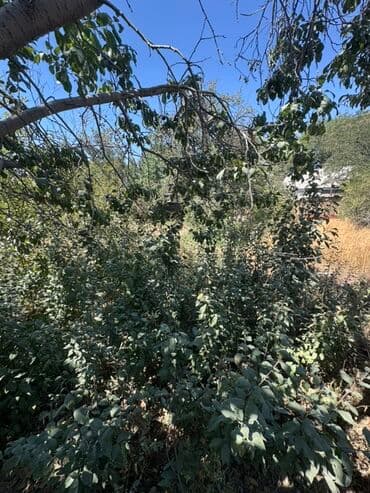 продажа домов в шопокове: 🏡 Продаётся дом в селе Кожомкул ✅ Площадь участка: 10 соток ✅ Площадь — 4